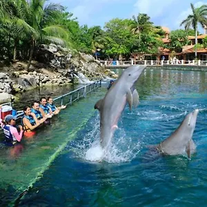 Apartment Increible Estudio En Puerto Aventuras, Con Alberca # 201